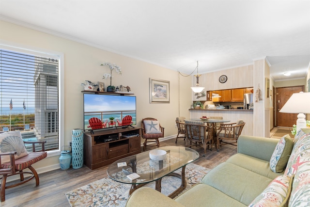 living room with crown molding and dark wood-type flooring