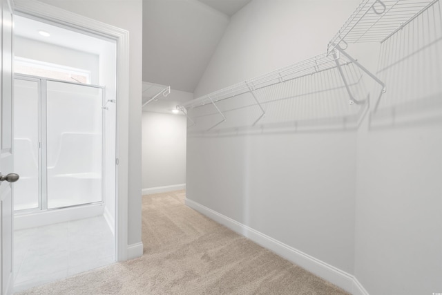 walk in closet featuring light carpet