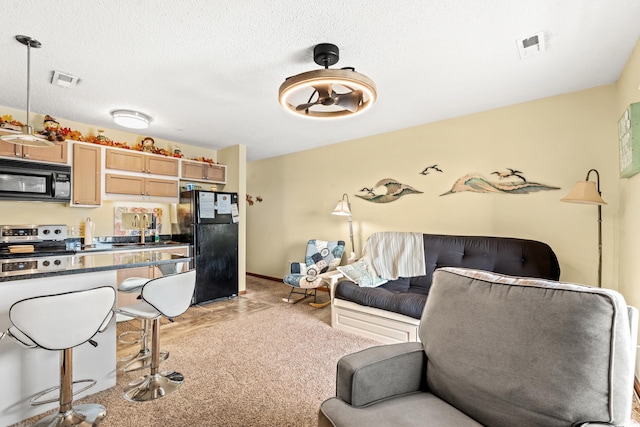 living room featuring light colored carpet, sink, and a textured ceiling