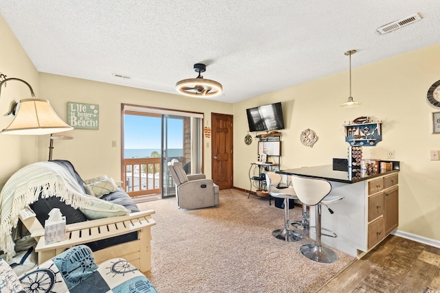 living room featuring hardwood / wood-style floors and a textured ceiling