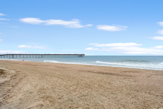 water view featuring a beach view