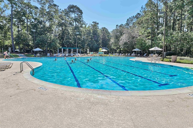 view of pool featuring a patio