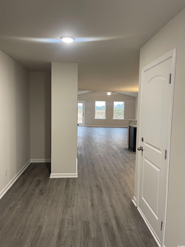 corridor featuring dark hardwood / wood-style floors