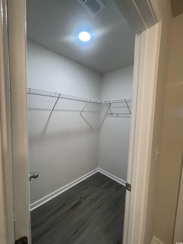 walk in closet featuring dark hardwood / wood-style flooring