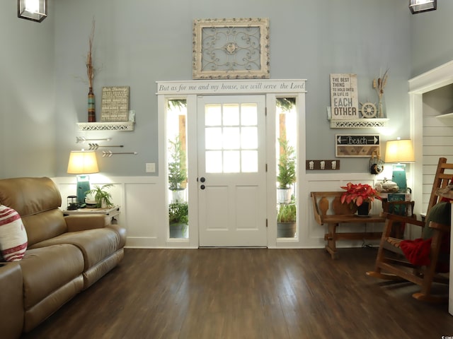 foyer entrance featuring dark wood-type flooring