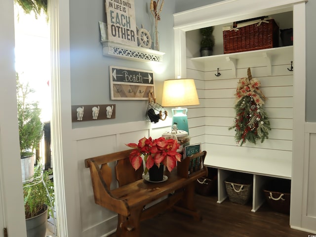 mudroom with wood-type flooring and plenty of natural light