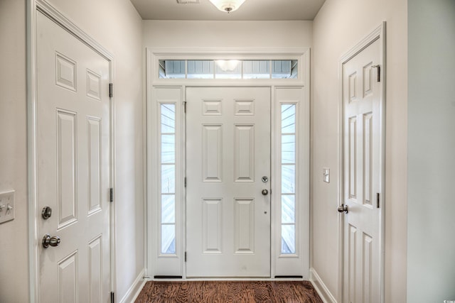 entrance foyer featuring dark wood-type flooring