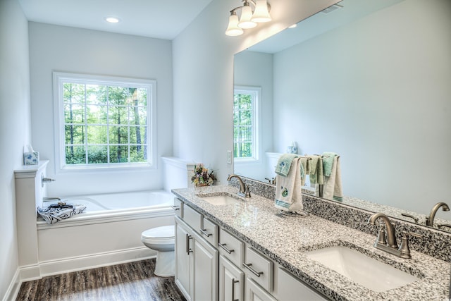 bathroom featuring a bathing tub, vanity, a healthy amount of sunlight, and wood-type flooring