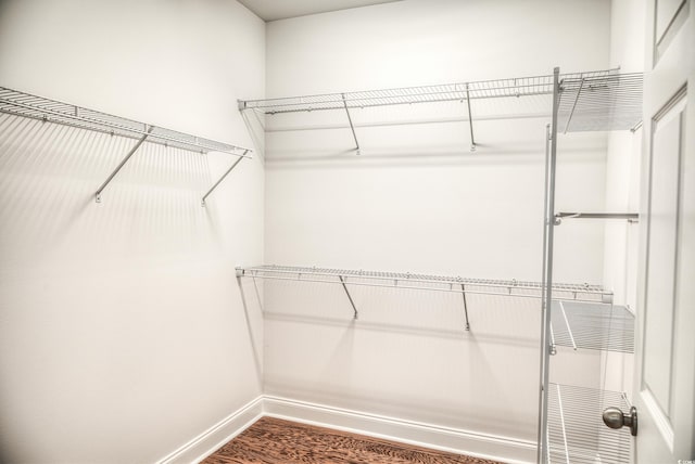 walk in closet with dark hardwood / wood-style floors