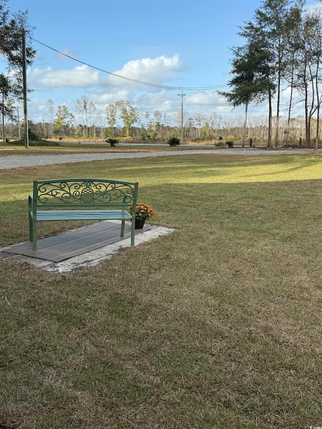 view of community featuring a yard