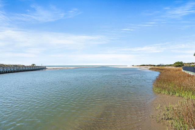 view of water feature