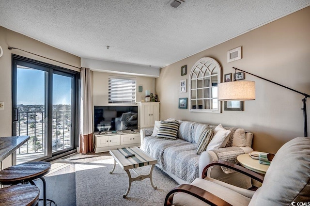 living room with a textured ceiling