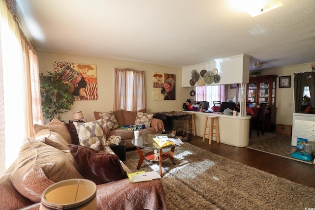 living room with dark hardwood / wood-style flooring, a textured ceiling, and ornamental molding