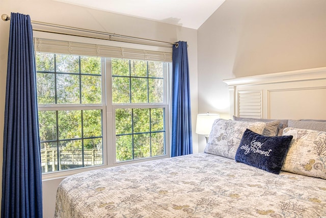 bedroom with lofted ceiling