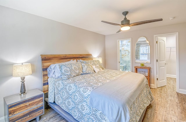 bedroom with a walk in closet, ceiling fan, a closet, and hardwood / wood-style flooring