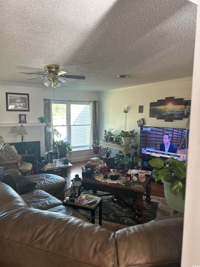 living room featuring ceiling fan, crown molding, and a textured ceiling