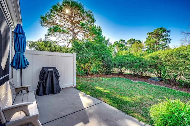 view of yard with a patio