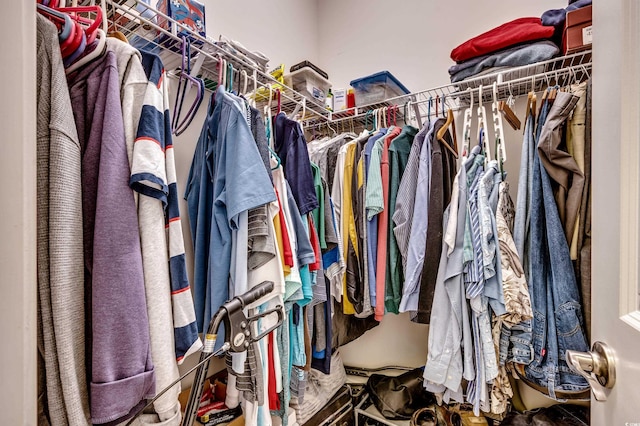 view of spacious closet