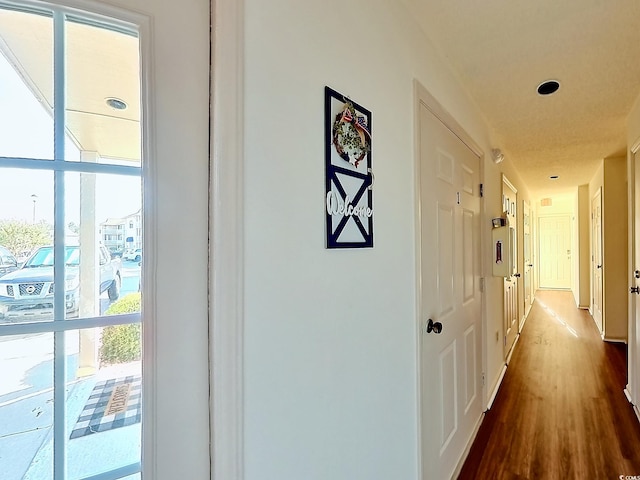 corridor with a wall of windows and wood-type flooring