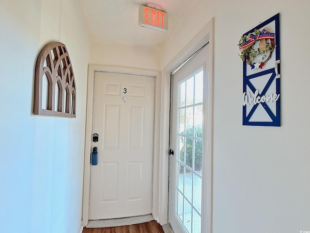 entryway with hardwood / wood-style floors