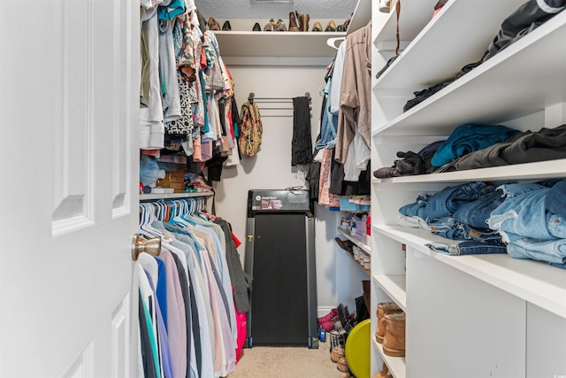 spacious closet with carpet flooring