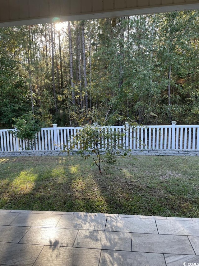 323 Sea Turtle Dr, Myrtle Beach, SC 29588 - view of yard