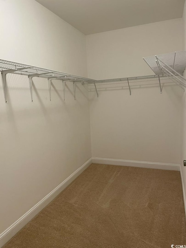 323 Sea Turtle Dr, Myrtle Beach, SC 29588 - walk in closet with light colored carpet