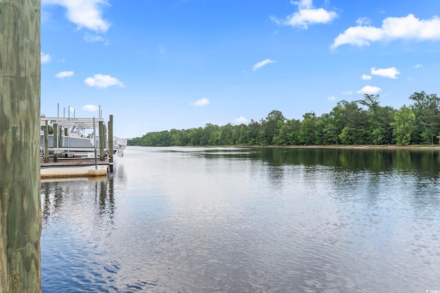 338 Harbour View Dr, Myrtle Beach, SC 29579 - water view featuring boat lift, a dock, and a forest