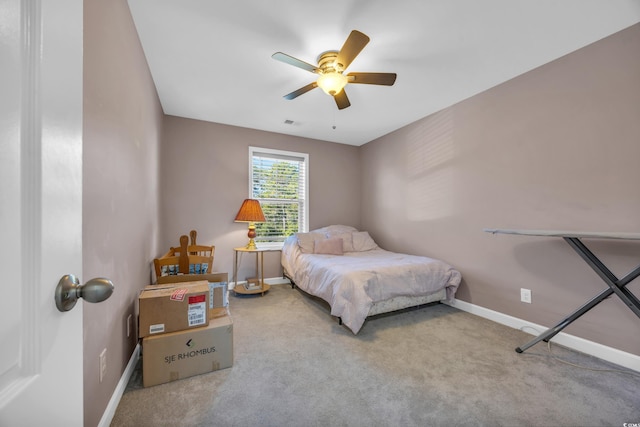 217 Astoria Park Loop, Conway, SC 29526 - photo 17