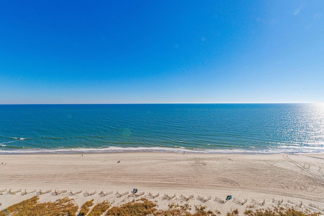 water view featuring a view of the beach