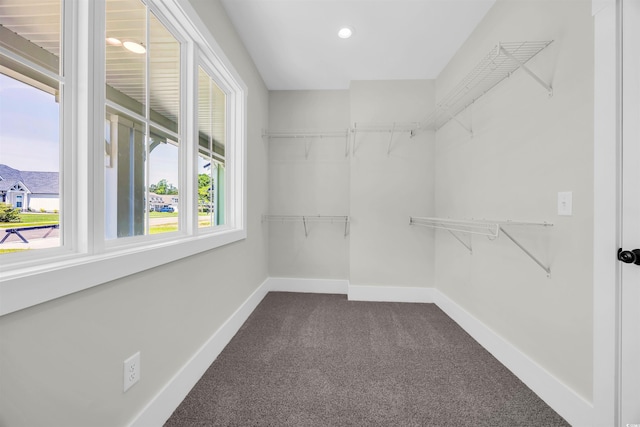 604 Mccown Dr, Conway, SC 29526 - staircase with wood finished floors and baseboards