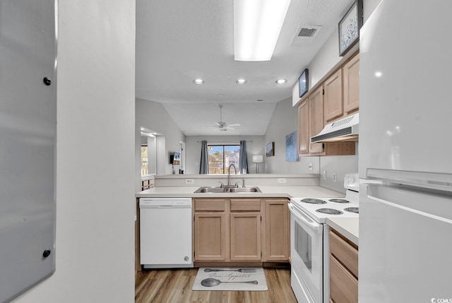 kitchen featuring light wood-type flooring, white appliances, vaulted ceiling, ceiling fan, and sink