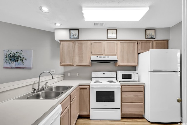 4103 Pinehurst Cir Unit Bb-14, Little River, SC 29566 - kitchen featuring white appliances, under cabinet range hood, a sink, light countertops, and light wood-style flooring