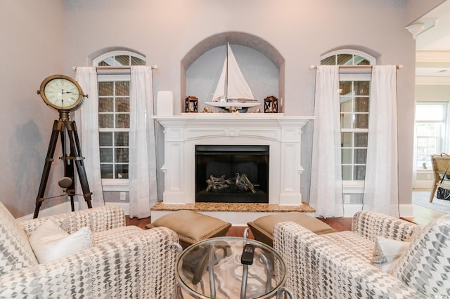 living room with wood-type flooring