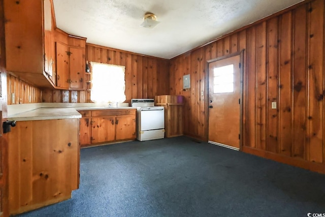 kitchen featuring sink, wooden walls, dark colored carpet, and white range with electric stovetop