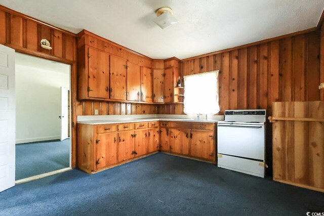 kitchen featuring sink, wood walls, dark carpet, and white range with electric cooktop