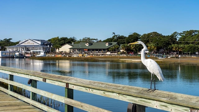 dock area with a water view