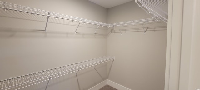 view of walk in closet