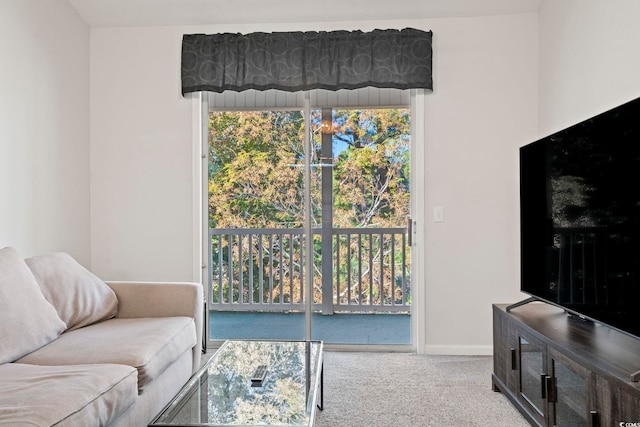 living area with carpet floors