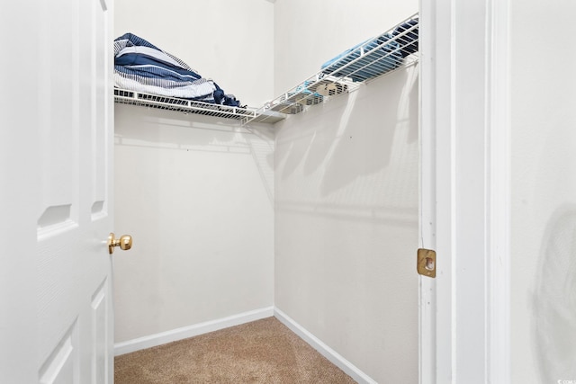 walk in closet with carpet