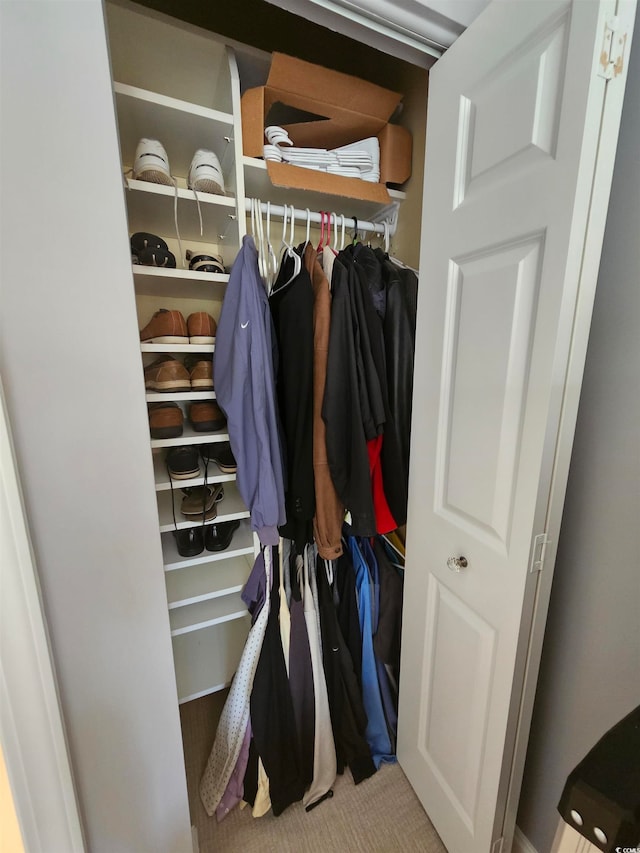 view of closet