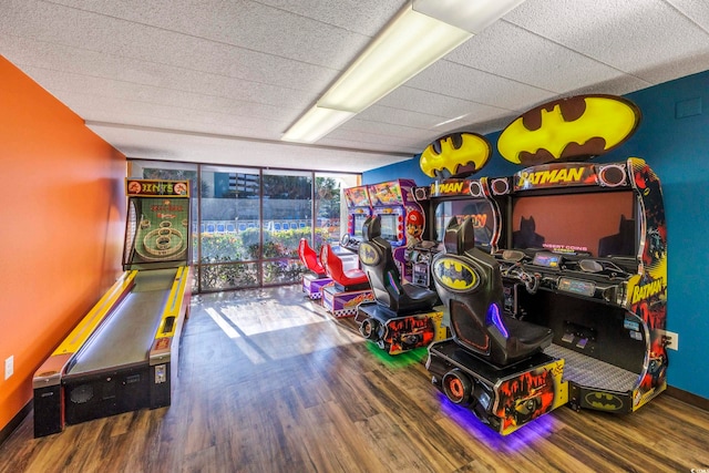 rec room featuring wood-type flooring and a wall of windows