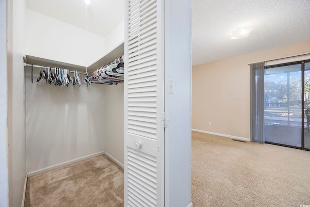 walk in closet with light colored carpet