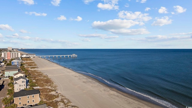 property view of water with a beach view