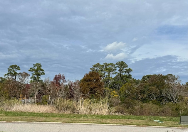 TBD Craven St, Georgetown SC, 29440 land for sale