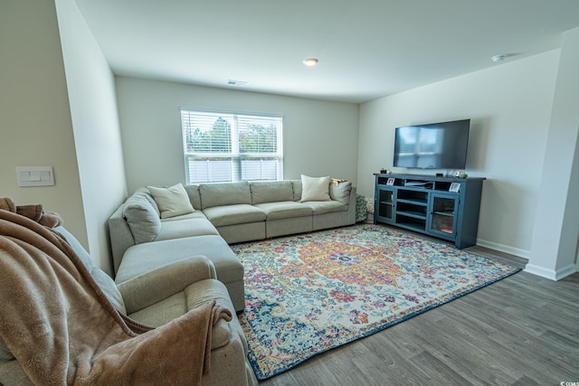 living room featuring wood-type flooring