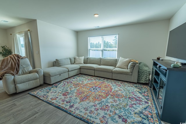 living room with hardwood / wood-style flooring