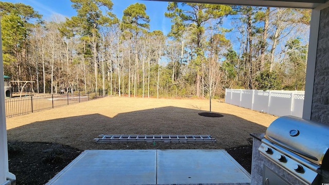 view of yard featuring a patio