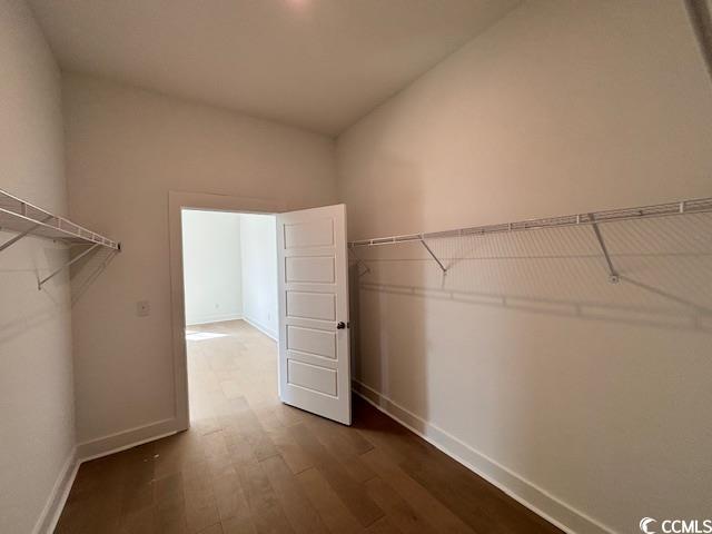 spacious closet with wood finished floors