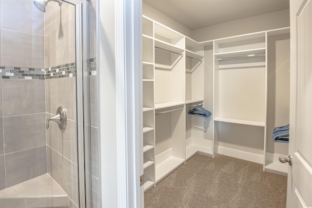 spacious closet featuring carpet flooring